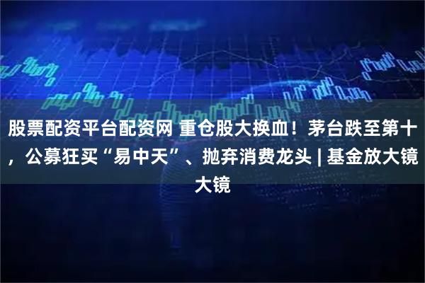股票配资平台配资网 重仓股大换血！茅台跌至第十，公募狂买“易中天”、抛弃消费龙头 | 基金放大镜